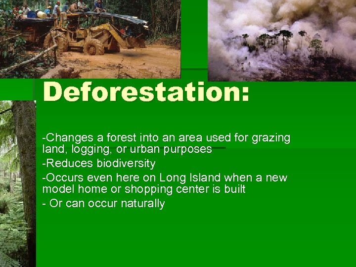 Deforestation: -Changes a forest into an area used for grazing land, logging, or urban
