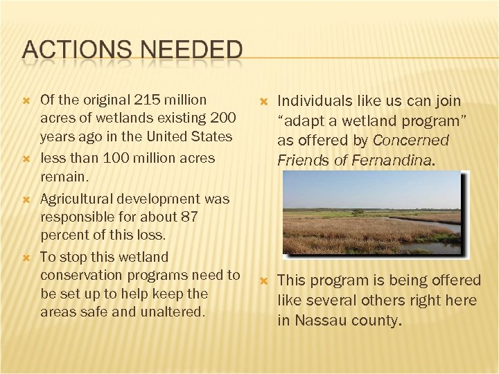  Of the original 215 million acres of wetlands existing 200 years ago in