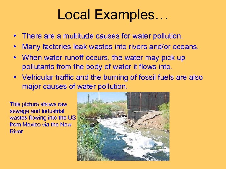 Local Examples… • There a multitude causes for water pollution. • Many factories leak
