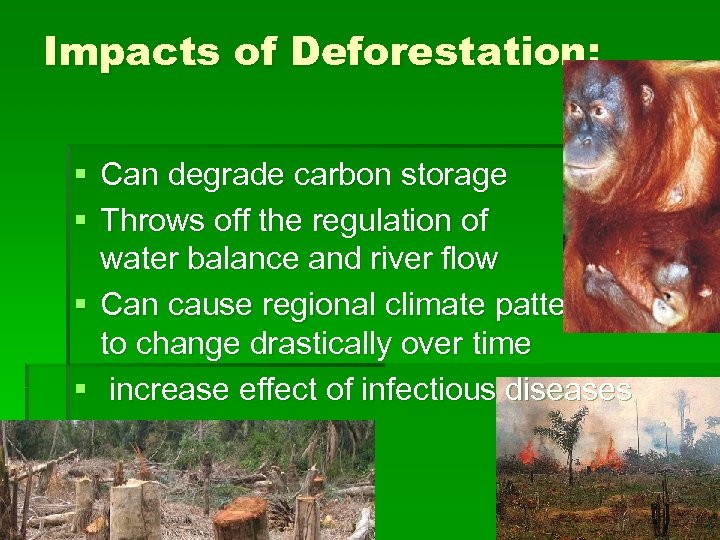 Impacts of Deforestation: § Can degrade carbon storage § Throws off the regulation of