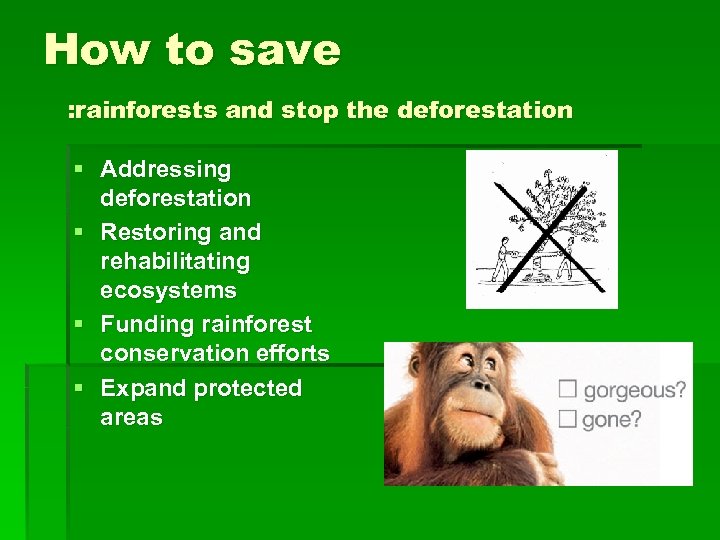How to save : rainforests and stop the deforestation § Addressing deforestation § Restoring