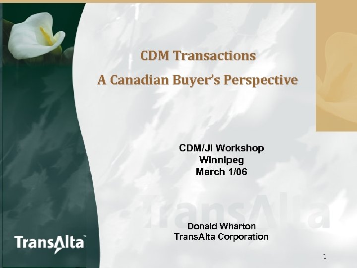 CDM Transactions A Canadian Buyer’s Perspective CDM/JI Workshop Winnipeg March 1/06 Donald Wharton Trans.