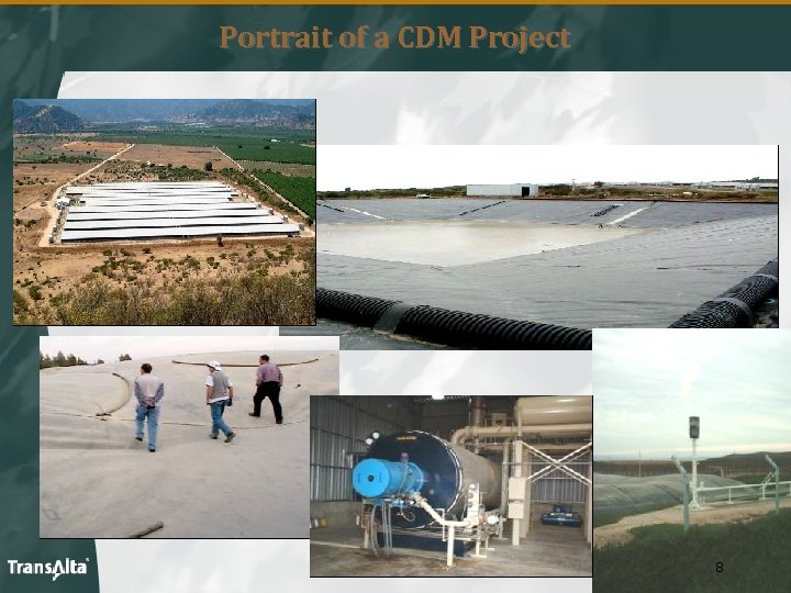 Portrait of a CDM Project 8 