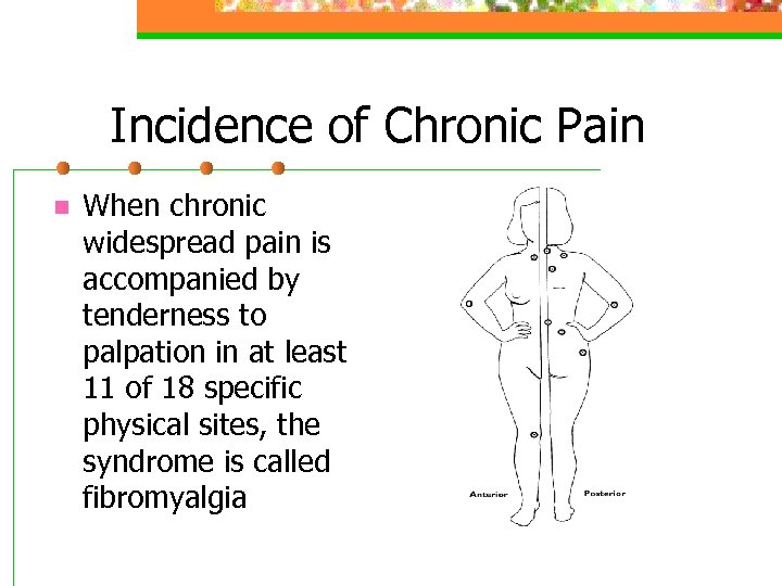 Incidence of Chronic Pain n When chronic widespread pain is accompanied by tenderness to