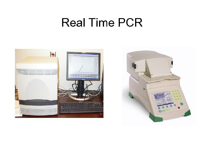 Real Time PCR 