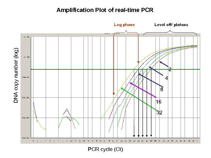 Amplification Plot of real-time PCR DNA copy number (log) Log phase Level off/ plateau