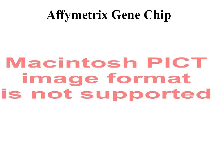 Affymetrix Gene Chip 