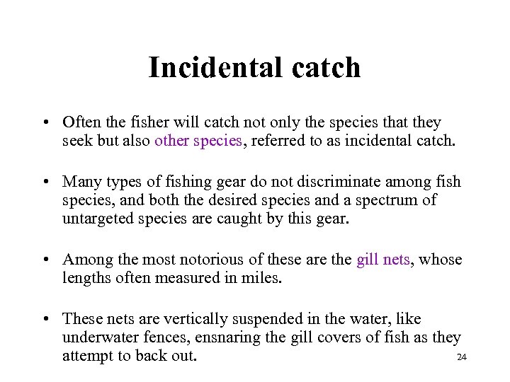 Incidental catch • Often the fisher will catch not only the species that they