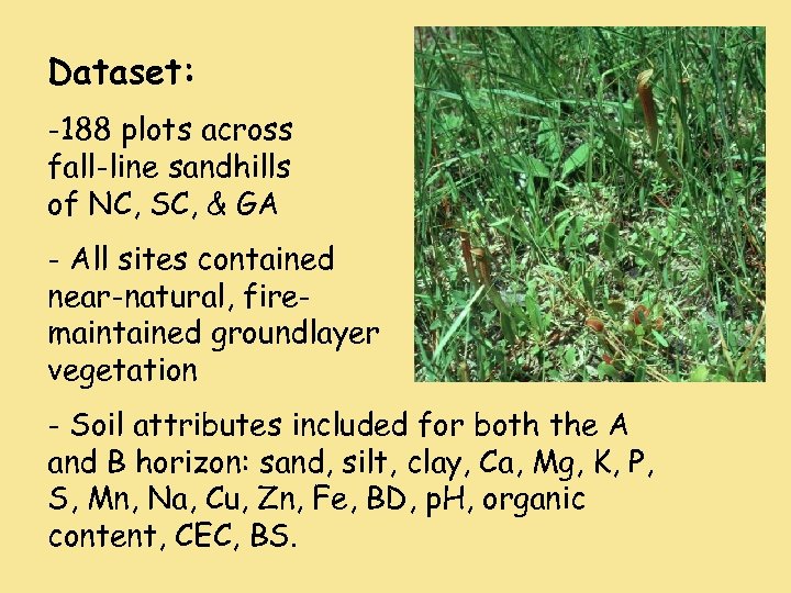 Dataset: -188 plots across fall-line sandhills of NC, SC, & GA - All sites