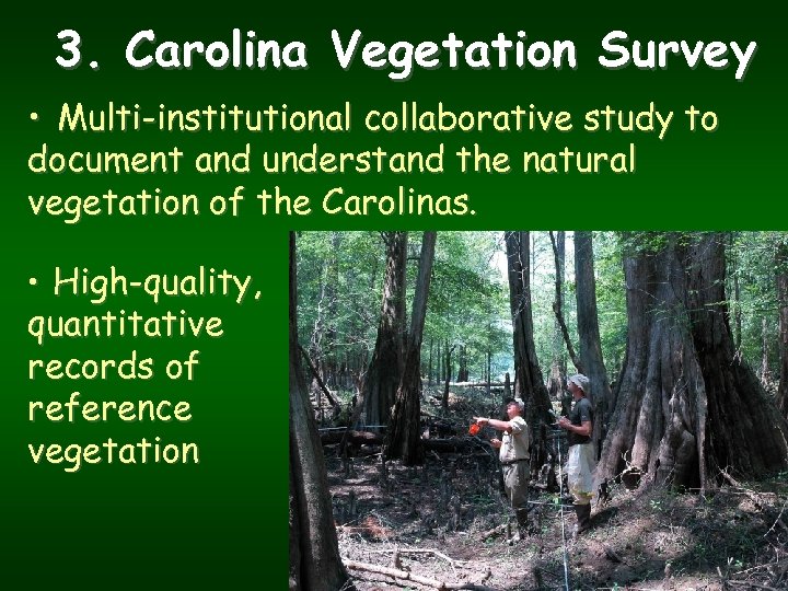 3. Carolina Vegetation Survey • Multi-institutional collaborative study to document and understand the natural