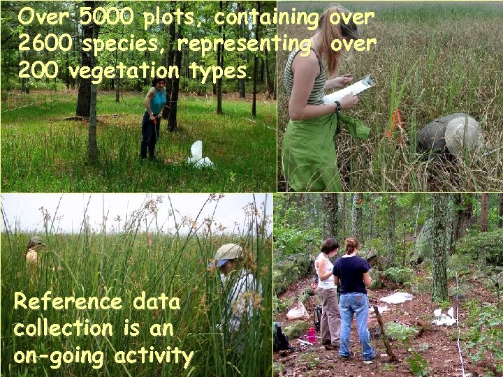 Over 5000 plots, containing over 2600 species, representing over 200 vegetation types. Reference data