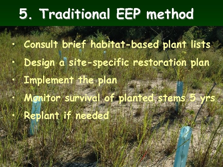 5. Traditional EEP method • Consult brief habitat-based plant lists • Design a site-specific