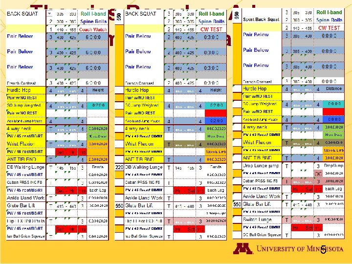 Theories Based on Advance Biochemical Programming 5 