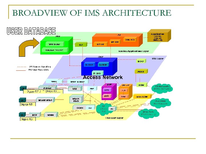 BROADVIEW OF IMS ARCHITECTURE Access Network 