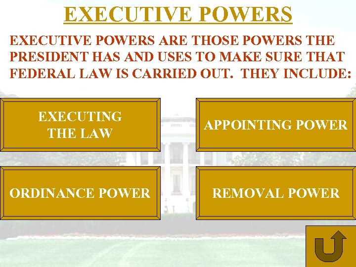 EXECUTIVE POWERS ARE THOSE POWERS THE PRESIDENT HAS AND USES TO MAKE SURE THAT