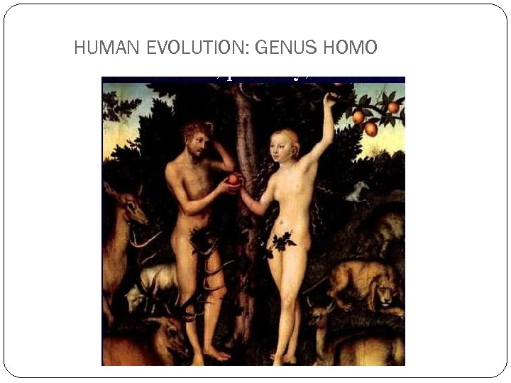 HUMAN EVOLUTION: GENUS HOMO 