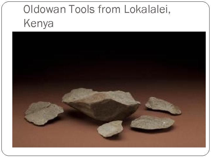 Oldowan Tools from Lokalalei, Kenya 