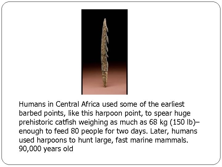 Humans in Central Africa used some of the earliest barbed points, like this harpoon