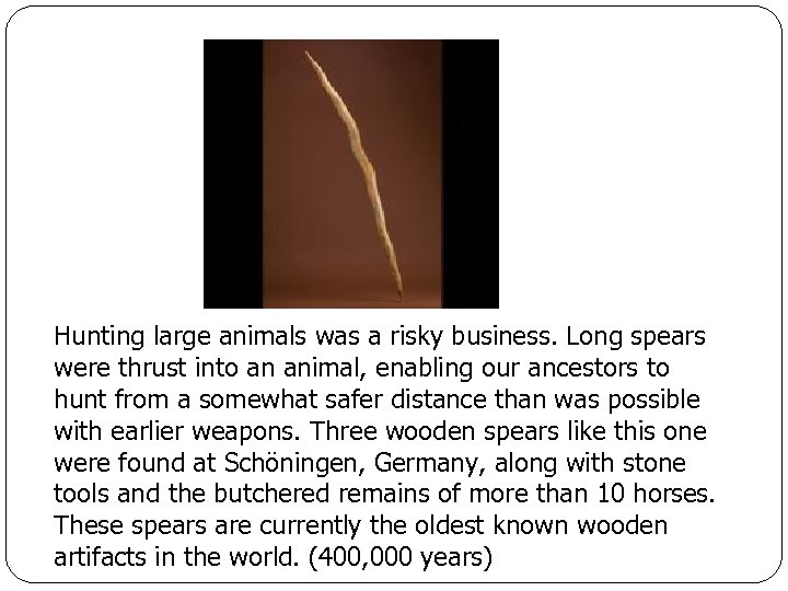 Hunting large animals was a risky business. Long spears were thrust into an animal,