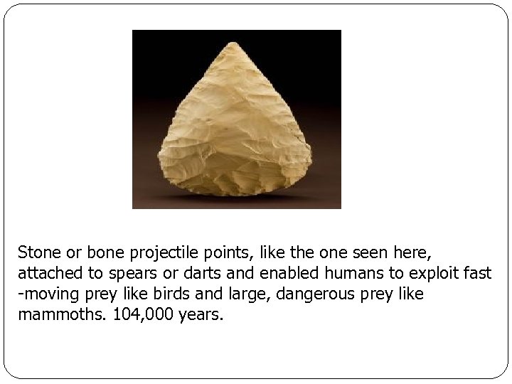 Stone or bone projectile points, like the one seen here, attached to spears or