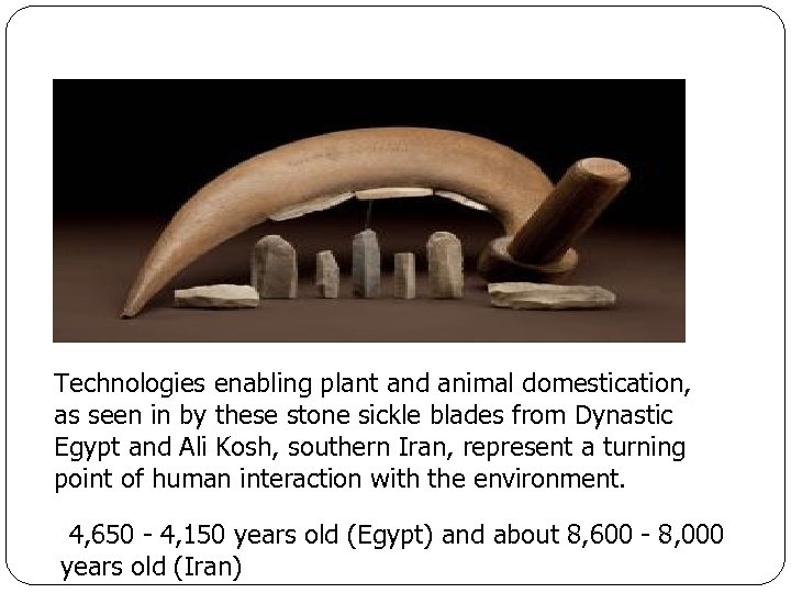 Technologies enabling plant and animal domestication, as seen in by these stone sickle blades