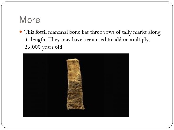 More This fossil mammal bone has three rows of tally marks along its length.