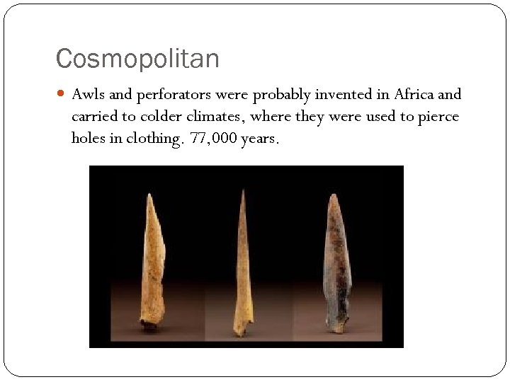 Cosmopolitan Awls and perforators were probably invented in Africa and carried to colder climates,