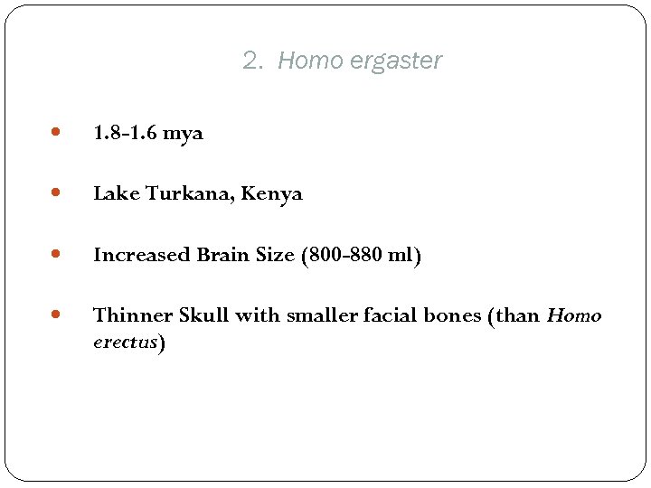 2. Homo ergaster 1. 8 -1. 6 mya Lake Turkana, Kenya Increased Brain Size