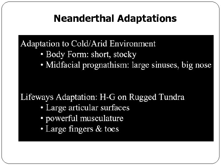 Neanderthal Adaptations 