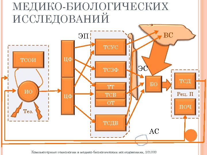 МЕДИКО БИОЛОГИЧЕСКИХ ИССЛЕДОВАНИЙ ВС ЭП ТСУС ТСОИ ЦФ ТСЗФ ИО ТТ ЦФ ЭС БО