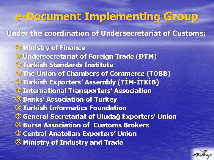 e-Document Implementing Group Under the coordination of Undersecretariat of Customs; ¥ Ministry of Finance