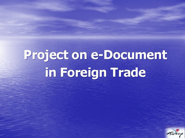 Project on e-Document in Foreign Trade 