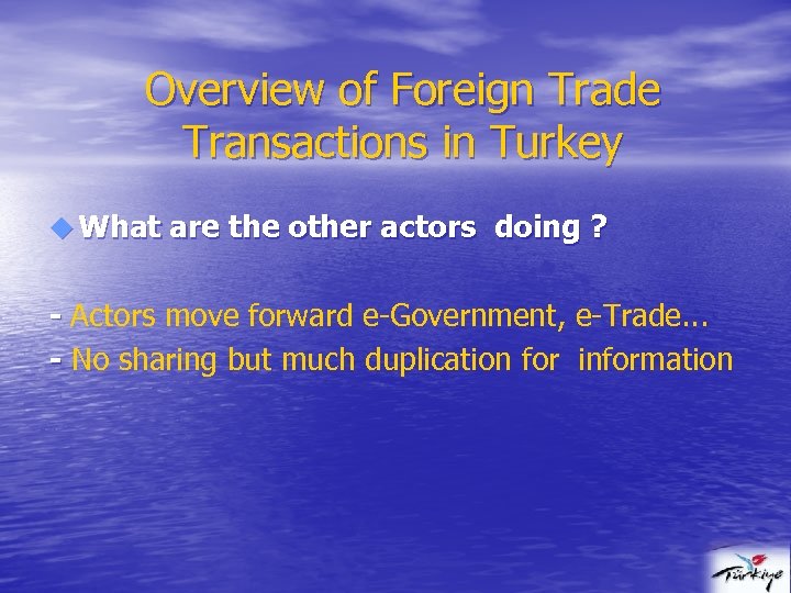 Overview of Foreign Trade Transactions in Turkey u What are the other actors doing
