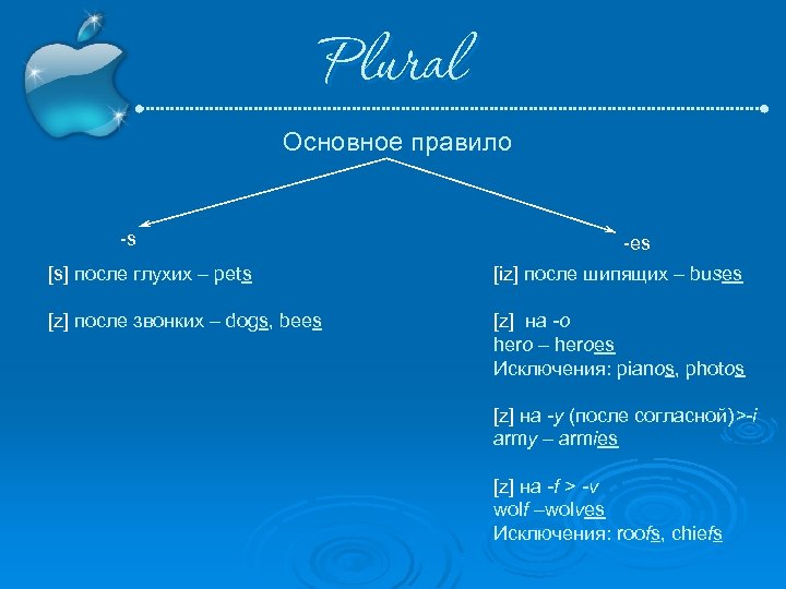 Plural Основное правило s es [s] после глухих – pets [iz] после шипящих –