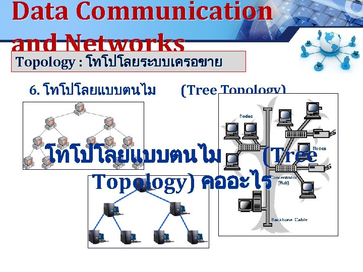 Data Communication and Networks Topology : โทโปโลยระบบเครอขาย 6. โทโปโลยแบบตนไม (Tree Topology) คออะไร www. pcbc.