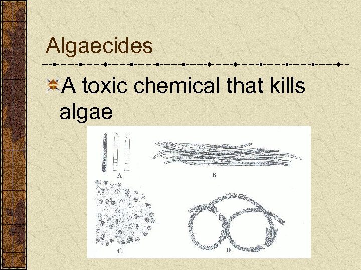 Algaecides A toxic chemical that kills algae 