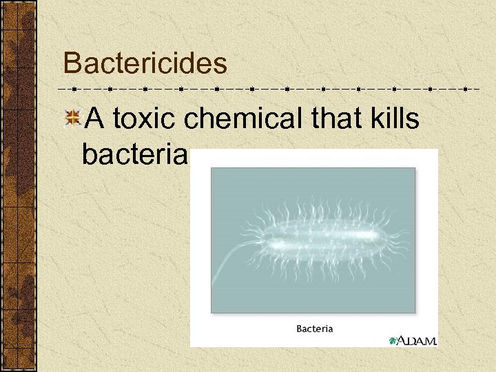 Bactericides A toxic chemical that kills bacteria 