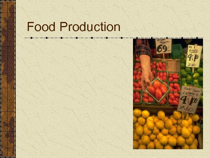 Food Production 