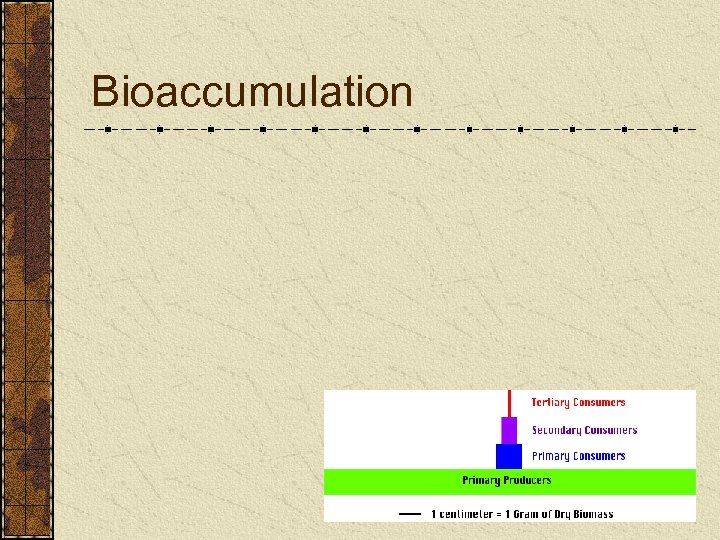 Bioaccumulation 