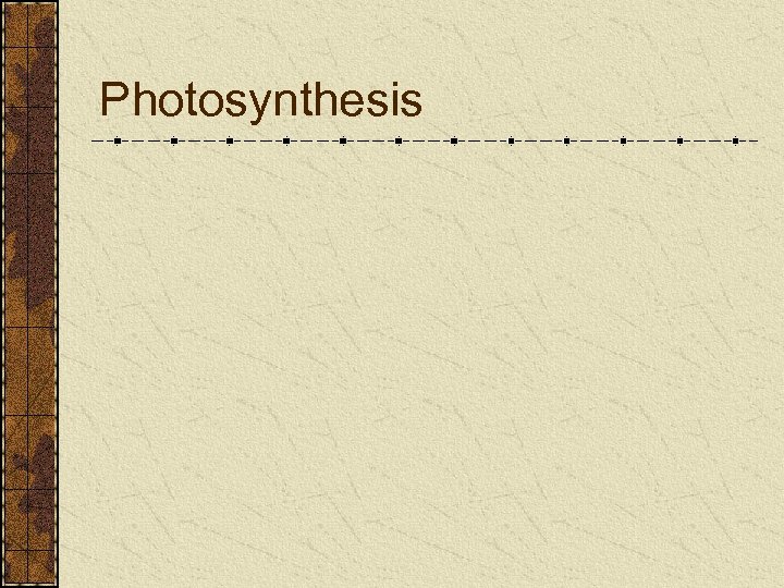 Photosynthesis 