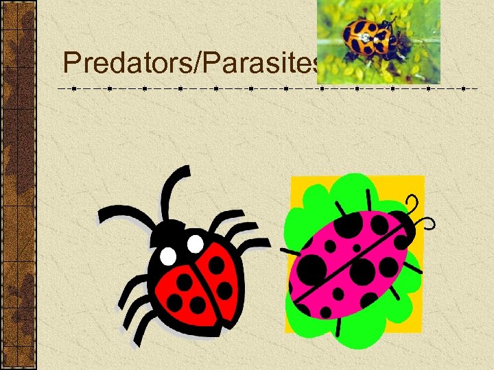 Predators/Parasites 