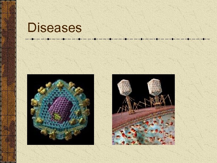 Diseases 