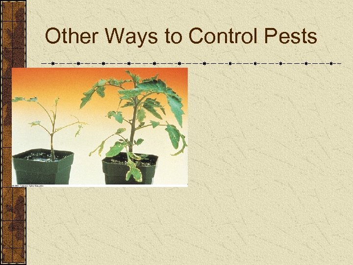 Other Ways to Control Pests 