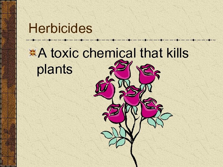 Herbicides A toxic chemical that kills plants 