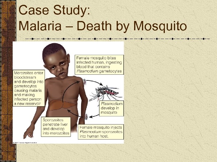 Case Study: Malaria – Death by Mosquito 