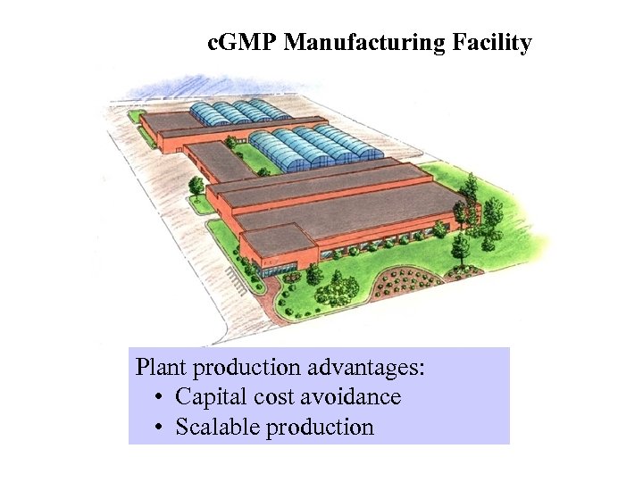 c. GMP Manufacturing Facility Plant production advantages: • Capital cost avoidance • Scalable production