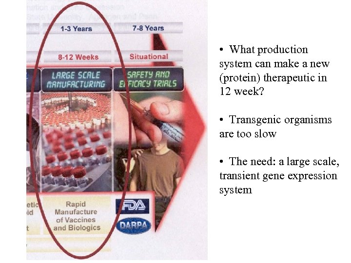  • What production system can make a new (protein) therapeutic in 12 week?