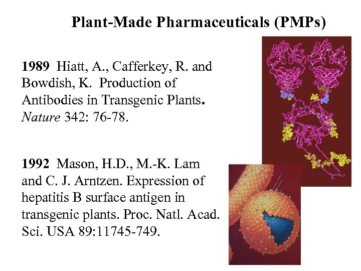 Plant-Made Pharmaceuticals (PMPs) 1989 Hiatt, A. , Cafferkey, R. and Bowdish, K. Production of