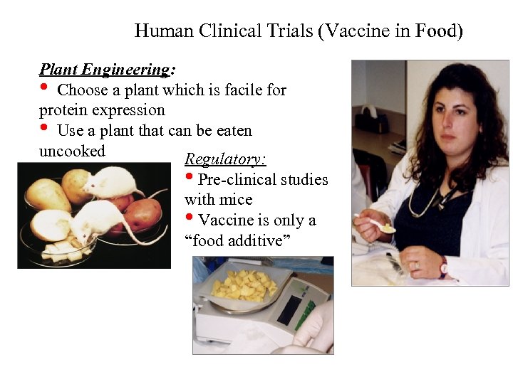 Human Clinical Trials (Vaccine in Food) Plant Engineering: • Choose a plant which is