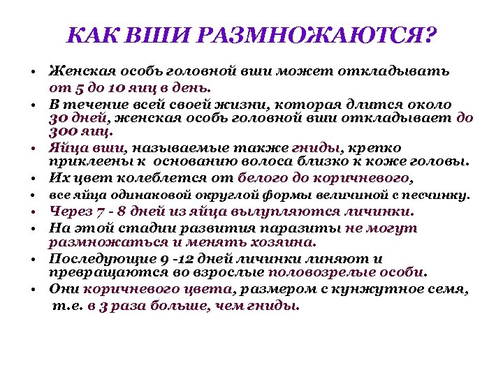 КАК ВШИ РАЗМНОЖАЮТСЯ? • Женская особь головной вши может откладывать от 5 до 10